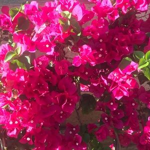 Meet your Posher, Gary